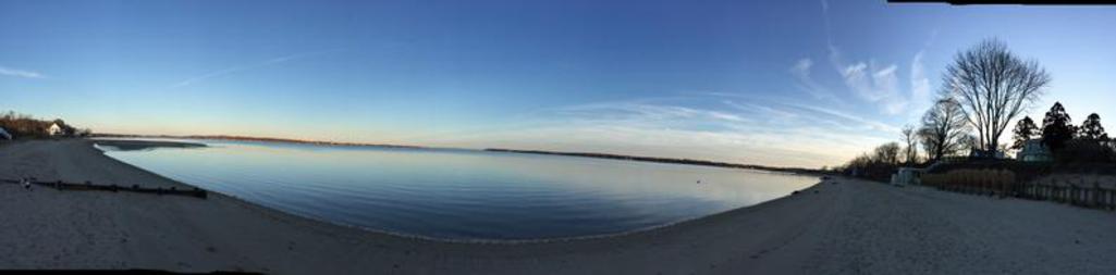 Southold Bay Oysters