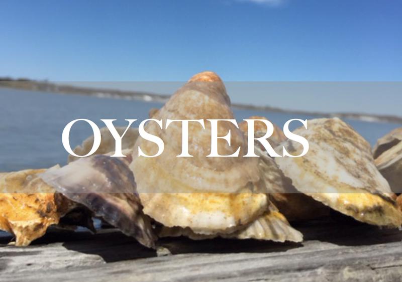 Raw Oysters