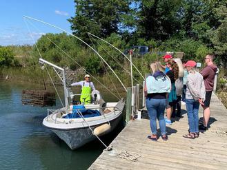 Oyster Farm Tour